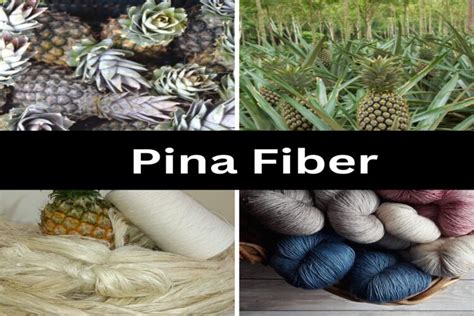  Piña: Una Fibra Natural con Propiedades Extraordinarias para la Fabricación de Textiles Sostenibles