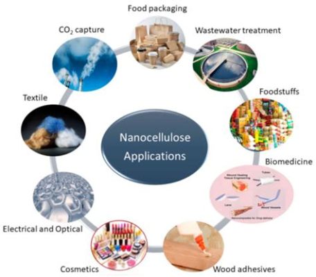  ¡Nanocellulose: Un material prodigioso para aplicaciones de alta resistencia!