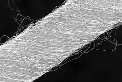  Nanotubes de Carbono: ¿Revolucionarán la Industria Aeroespacial y la Medicina Regenerativa?